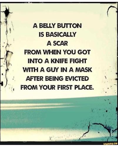 a belly button