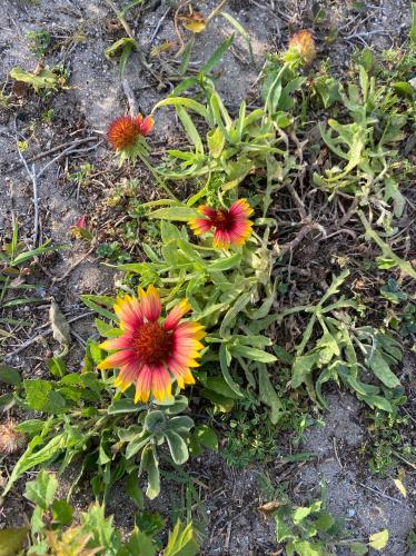 27CD39E5-EBB7-4AFF-8F2E-D561178472B4