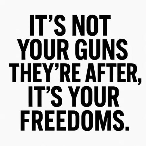guns-freedoms