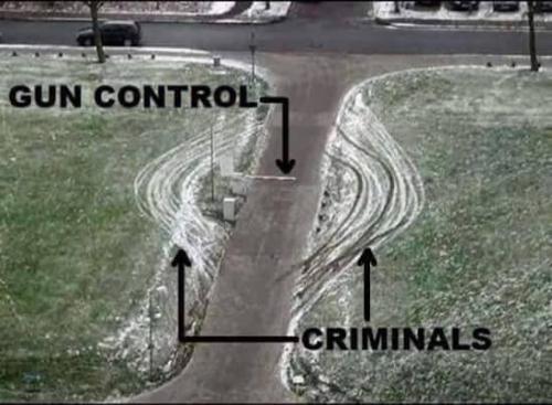 how gun control works