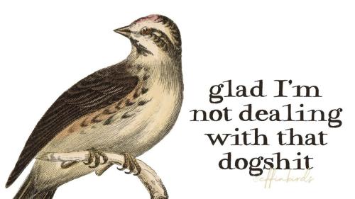 IMG_20250727_081547_428