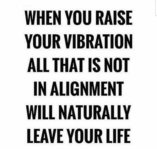 f33962960721378244ee5dac841046ed