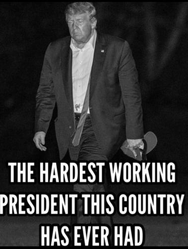 DCBA9D6D-3660-4817-8604-4358EB353104