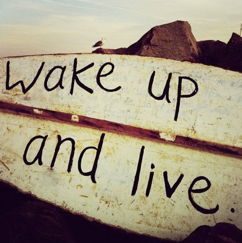 2c913471c4f50ee9c4d59d2801624a81