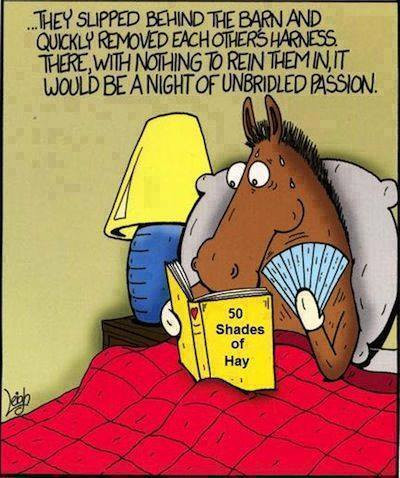 50 shades of hay