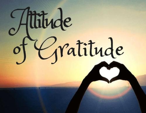 d2a9572f9190ea8a1336322022a39888