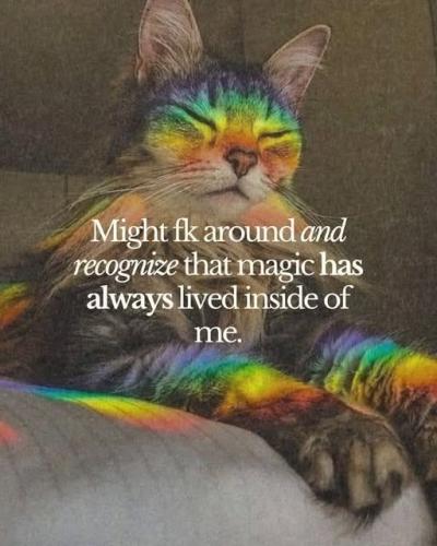 514252767_1878780586251782_6954293496454840728_n