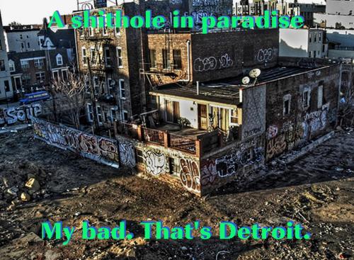 shithole detroit