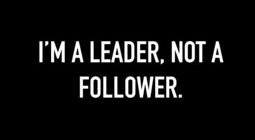 b8b0716f72cc2e3d8adaab535bff6931