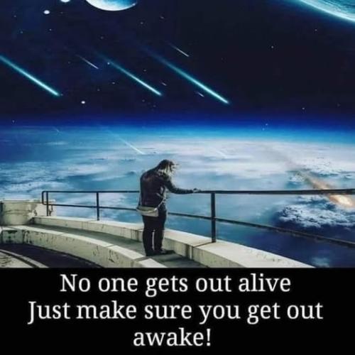 524382820_755064674076394_7755142960859826857_n