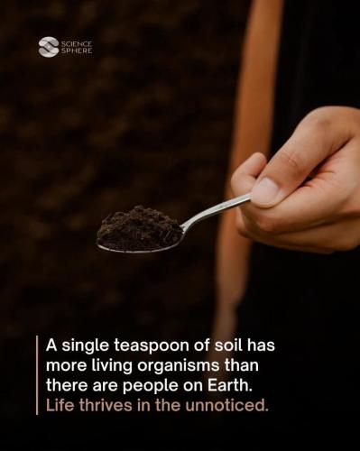 86018862-649e-4b21-8760-da1f171beb34