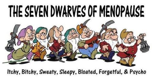 seven dwarves of menopause