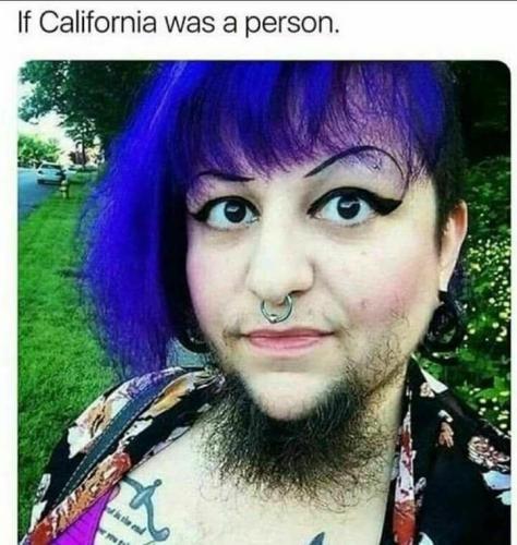 if california was a person