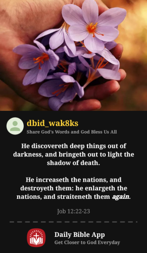 2025-07-071751929060143