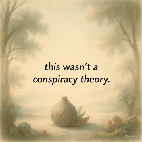 FB_IMG_1752485648990