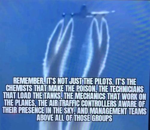 2aaab67a-7d9a-4d07-ab30-6c3418082cd1