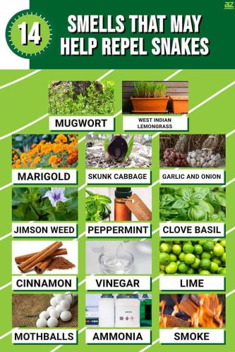 Smells that repel snakes