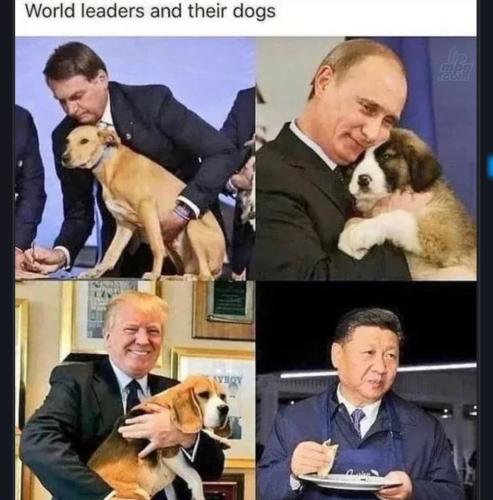 3360fcac69c73b9f2bc3684eac44a110_1024