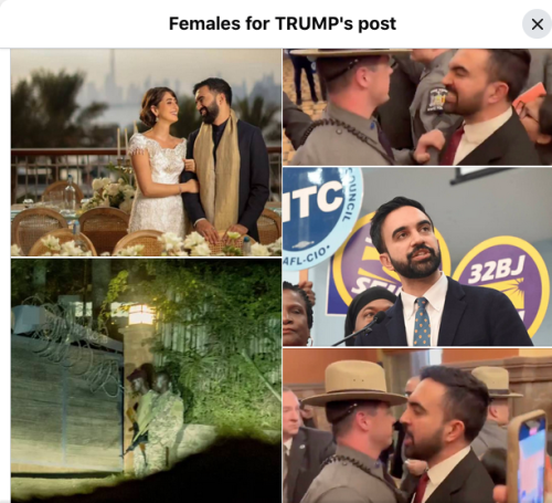 Screen Shot 2025-07-30 at 2.08.36 PM