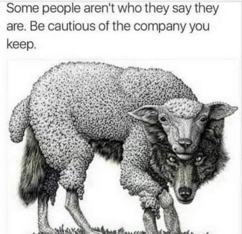 IMG_20250723_081546_222