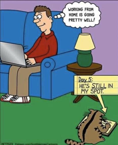 he's still in my spot