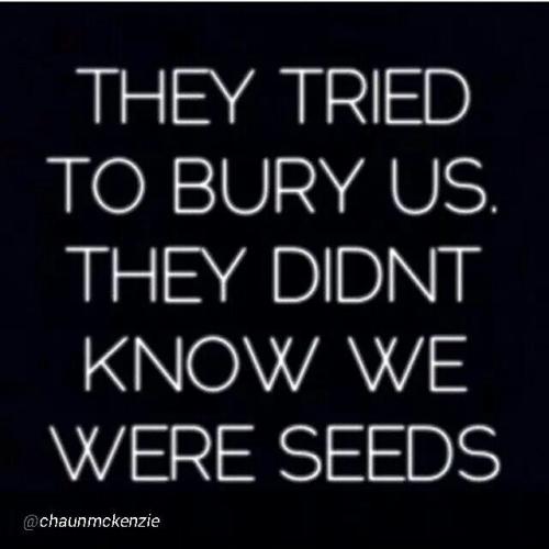 d1fb6f77536628bd0b46e6a84b0d5874