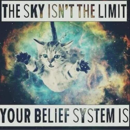 923d1035395dec12e45540dca7f392bb