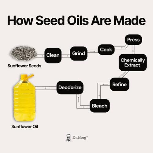 519117102_1249642986619407_4682745480038707535_n