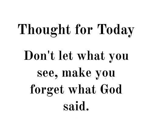 517762197_754685353732480_644077058684792048_n