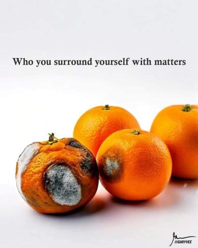 0b36449405f2d677e601b3cc0cb7feb0