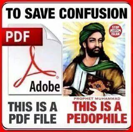 pdf file vs pedfile
