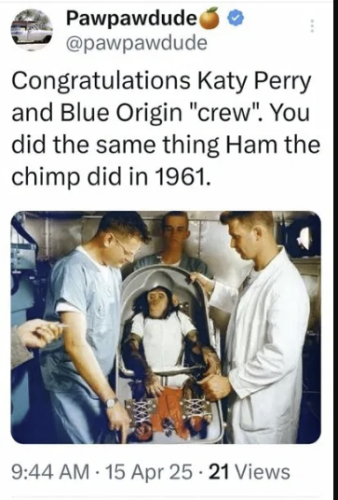 ham-the-chimp
