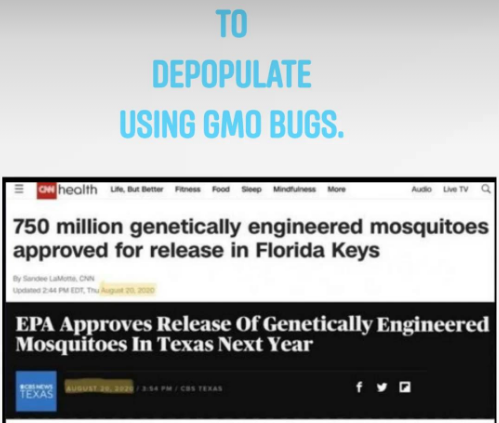 Screenshot 2025-07-01 084447