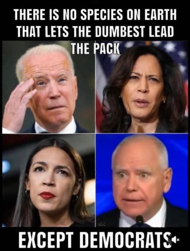 FB_IMG_1752019933982