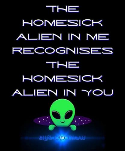 518354302_747642888151906_1765371998727995487_n