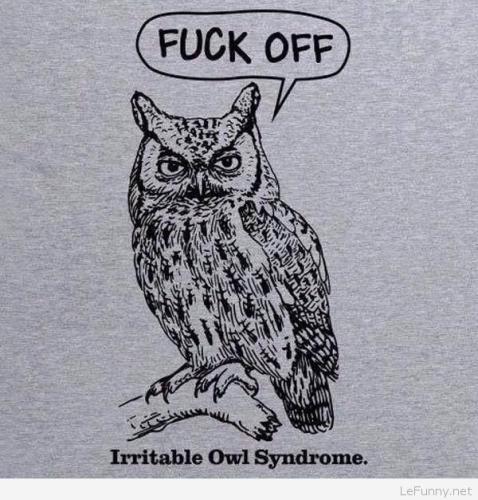 iritable owl