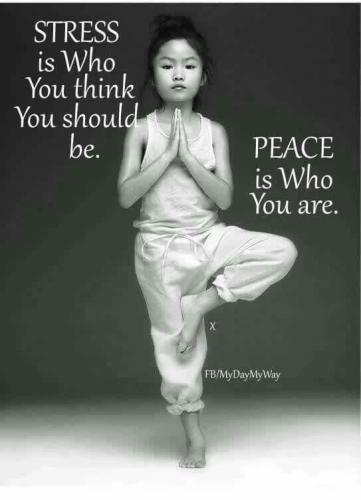 3fe48cfe16773af0093cd05342aaf8f8