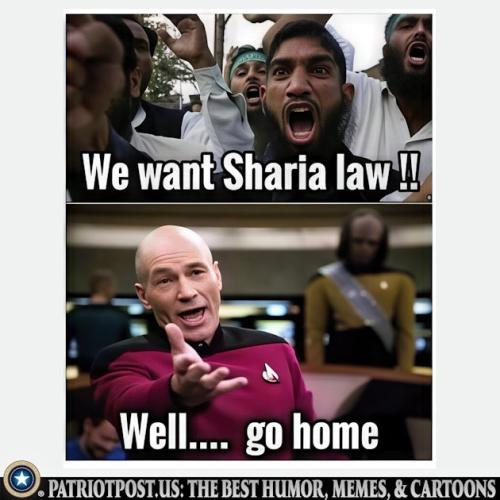 01K08PW4C7HEEB3KNZ39R5PNE3