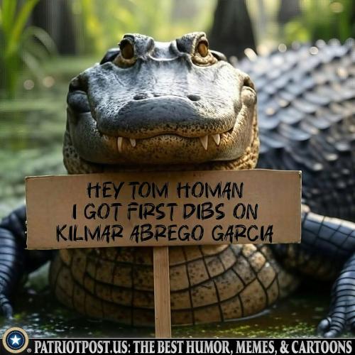 01JZVB4NEQX6V0Z24DDQ6QX6VM