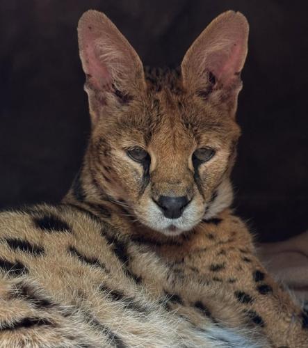 Screenshot_20250716_104857_Instagram