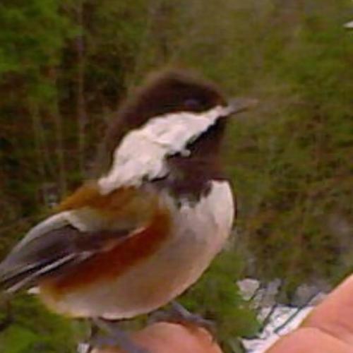 3d2def57-5d3f-485d-9fd4-72a3e3df8842