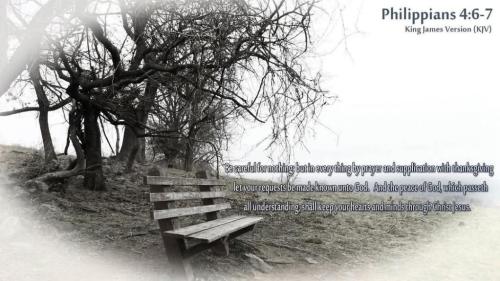 9a2d60ca-378b-40cb-b31e-f0cef8327570