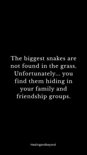 524381121_683116941375369_3512858034548758514_n