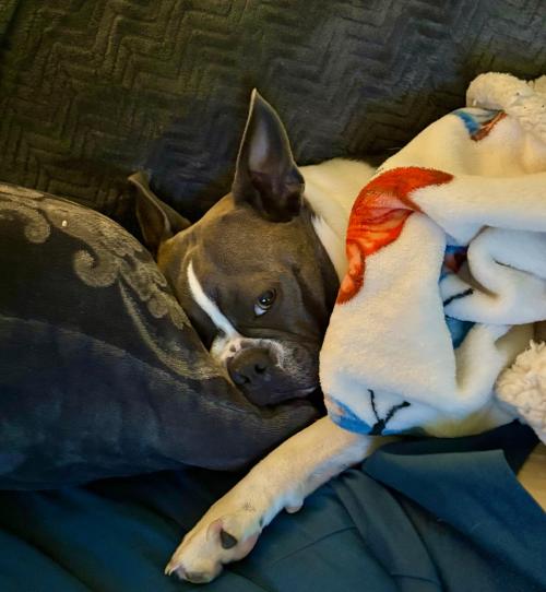 E614F351-D5D2-4542-B283-0D07F61CA9A0