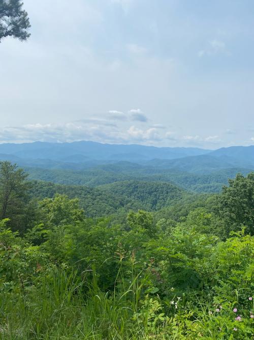 C82B9B63-2243-4ECF-81C9-7EB5F17D7CFD