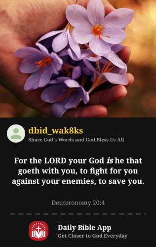 2025-07-051751770801347