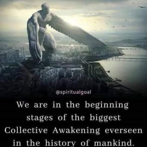 517593330_751058227810372_8253751979872027747_n