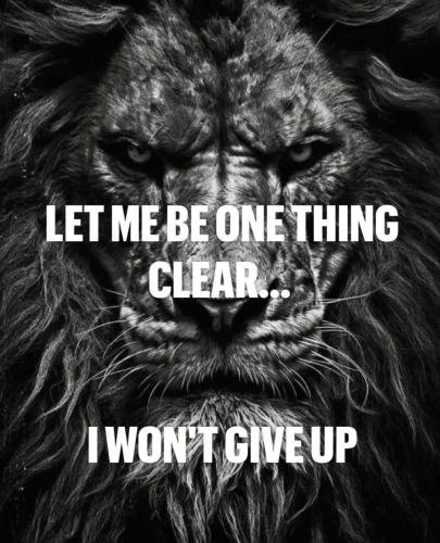 d8dc19ad7f02373f3a3f13223f56afd8