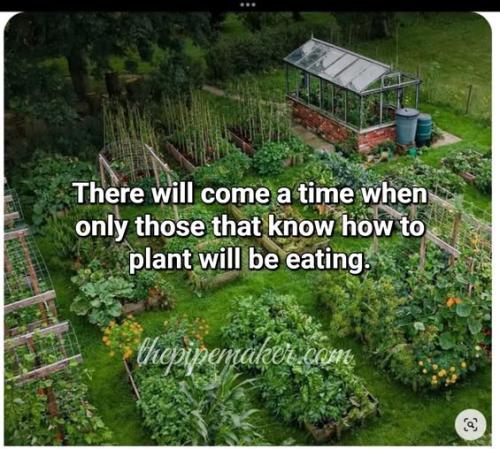 520168705_1213564867238358_2886365129582590145_n