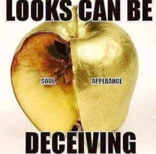 1cee79bd-5eb7-4bcd-9076-4c387a9cf5f2